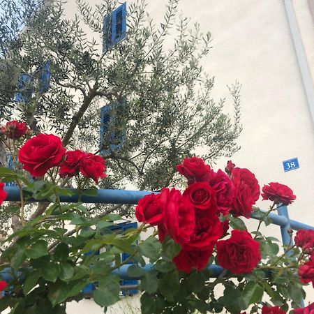 Olive Tree Apartments Umag Exterior foto