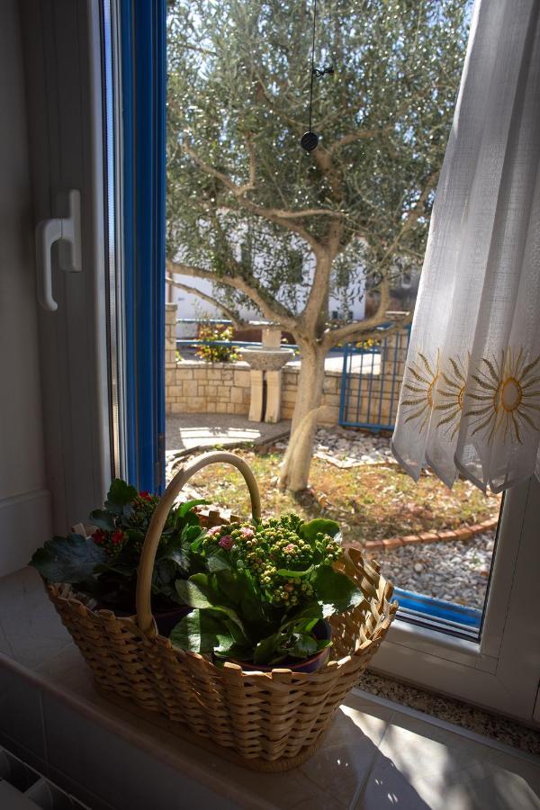 Olive Tree Apartments Umag Exterior foto